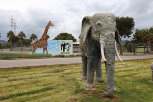 Safari Zoo Mallorca