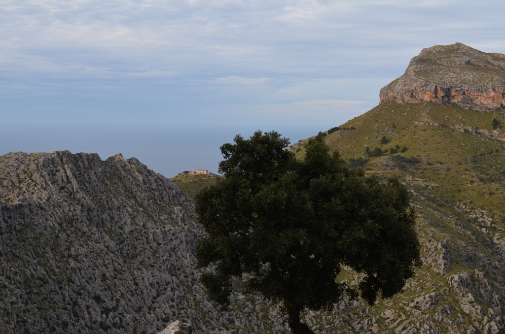 Tramuntana Gebirge