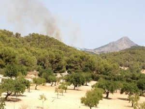 Waldbrand Mallorca