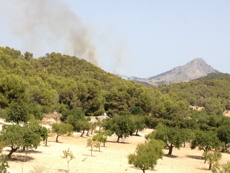 Waldbrand Mallorca