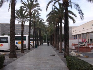 Flughafen Palma (Mallorca)