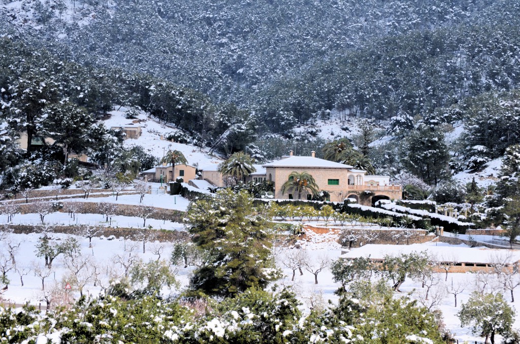 Schnee Mallorca