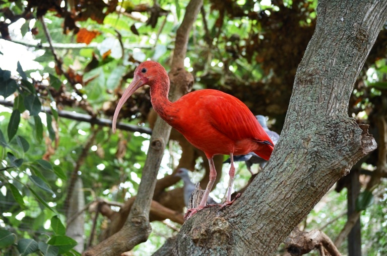 Zoo Natura Parc Mallorca