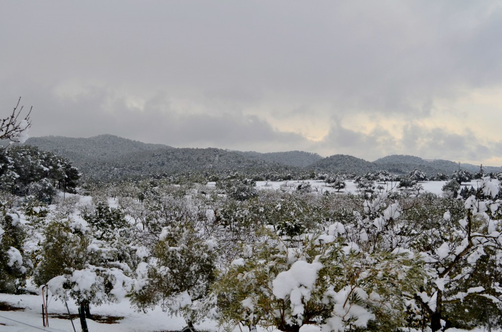 Winter auf Mallorca