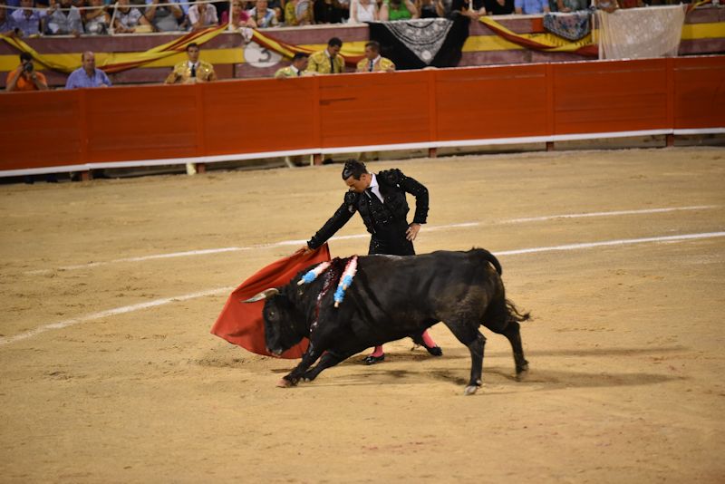 stierkampf palma de mallorca