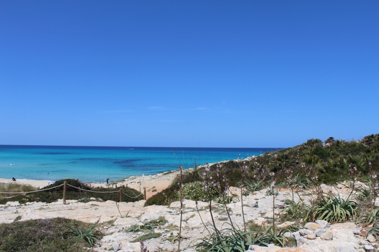 Cala Mesquida Wasser