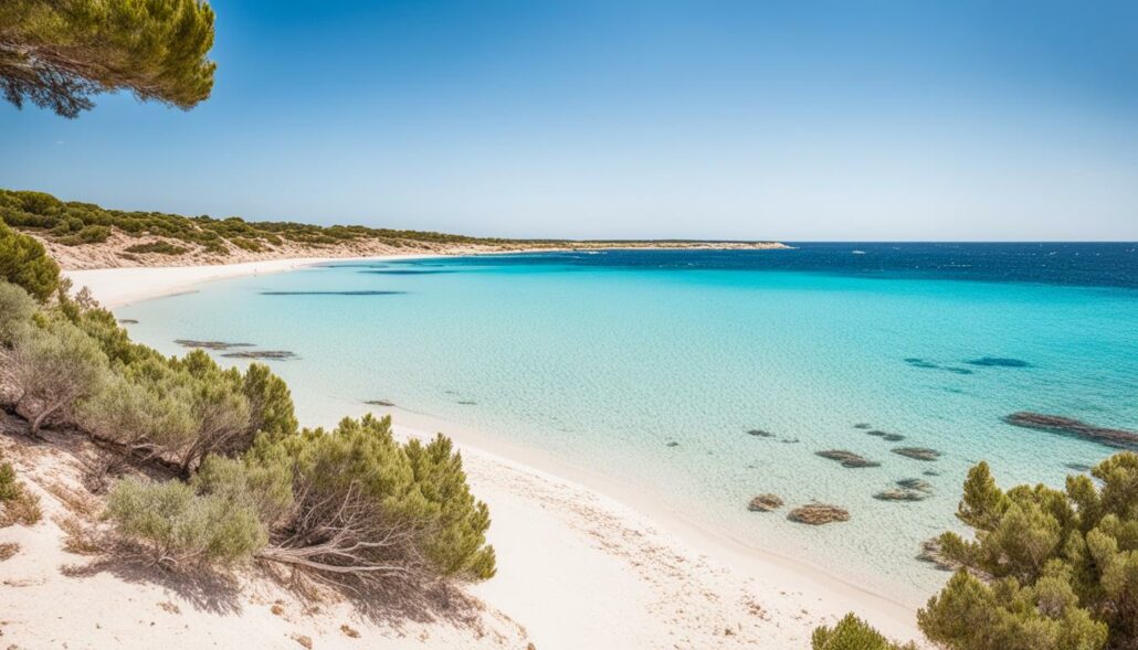 Es Trenc Strand
